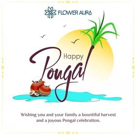 Happy Pongal